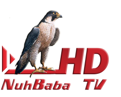 NuhBaba Tv